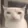 catEat