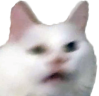 huhh emote