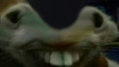 xddentge emote
