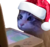 WatchingStream emote