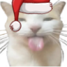 BLEHHH emote