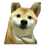 dudedog emote
