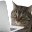 Emote