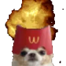 DogExplode emote