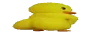 wideduckass