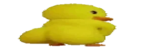 wideduckass emote