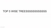 slideshowStream emote