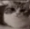 Emote