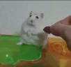 PTSD emote