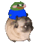 PeepoPug