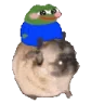 PeepoPug emote