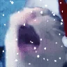 AAAA emote