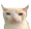 cat emote