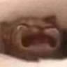 waa emote