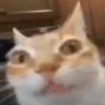 BRUH emote