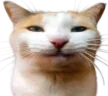 BLEHHH emote
