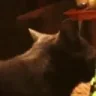 AREYOUGAY emote