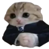 BasedCat emote