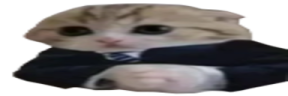 WideBasedCat emote