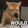 WOULD emote