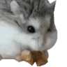 NOMNOM emote