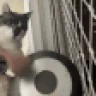 DinkDonk emote
