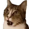 Flabbergasted emote