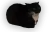 dingus