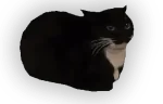 dingus emote