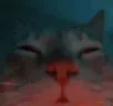 Its4AMIm12ShotsDeepIShouldAFKWaterButTheMusicIsBlastingTheVibesAreCrazyImGoingCrazyIAmPartyIncarnate emote
