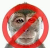 NOAUTORIZO emote