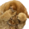 notlikethis emote
