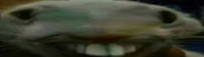widexpp emote