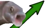 STOOOONKS emote