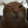 buh emote