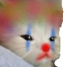 SadCatClown emote