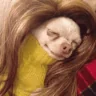 Gloria emote