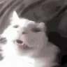 zuh emote