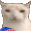 veryCat