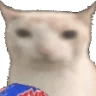 veryCat emote