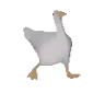 GooseDance emote