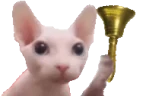 BingBong emote