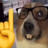 Backseat emote