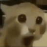 :0 emote