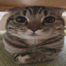 pon emote