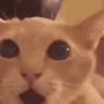 PogU emote