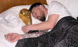 Bedge emote