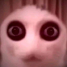 scp emote