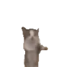 catJump emote