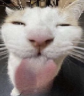:PP emote
